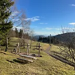 Alpenblick Apartment